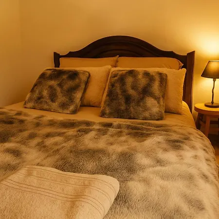 The Forest - Private Forest And Absolute Calm