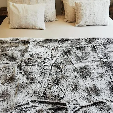 The Forest - Private Forest And Absolute Calm Holiday home Plainfaing