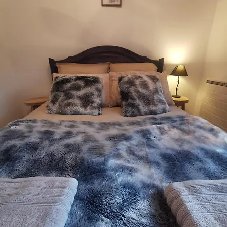 The Forest - Private Forest And Absolute Calm