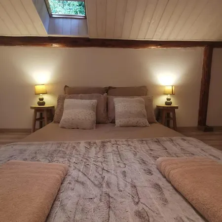 The Forest - Private Forest And Absolute Calm *