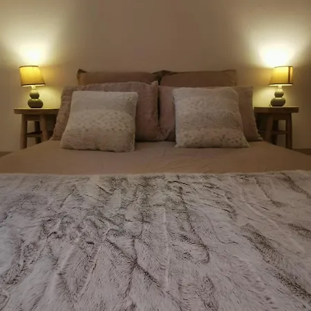 The Forest - Private Forest And Absolute Calm * Plainfaing