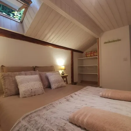 The Forest - Private Forest And Absolute Calm * Plainfaing