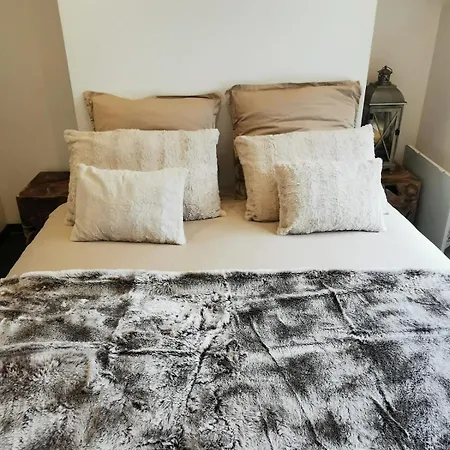 The Forest - Private Forest And Absolute Calm * Plainfaing